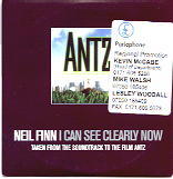 Neil Finn - I Can See Clearly Now